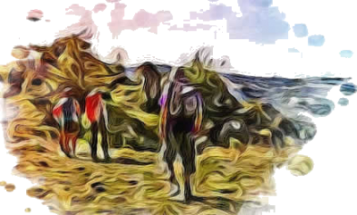 Randonnee pedestre marche 1